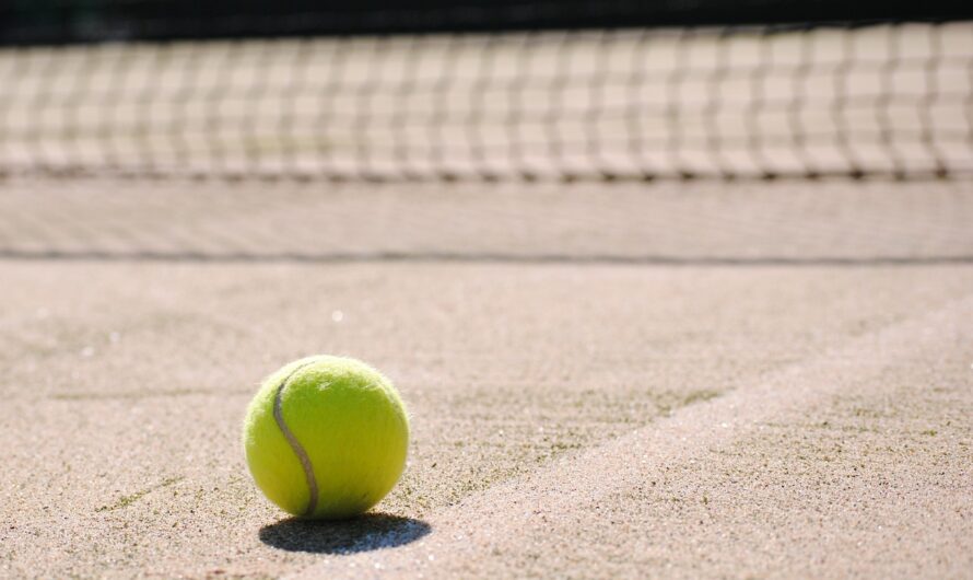 Die Faszination des Padelschlägers: Ein Blick auf das Herzstück des Padel-Tennis